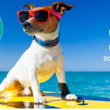 La Piazzetta Oda ve Kahvaltı